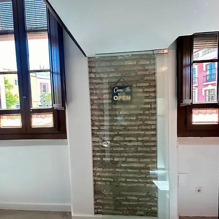 Romanilla Loft Granada