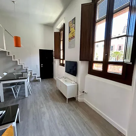 Apartment Romanilla Loft Granada